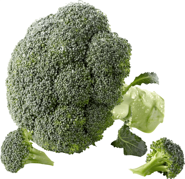 Broccoli Økol.