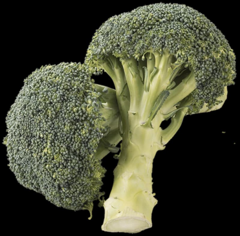 ØKO. BROCCOLI